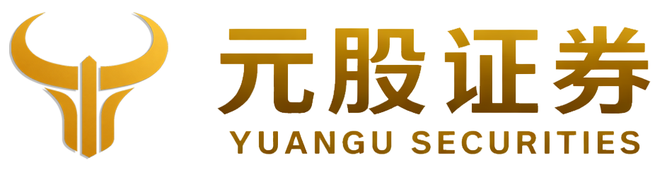 元股证券股票投资